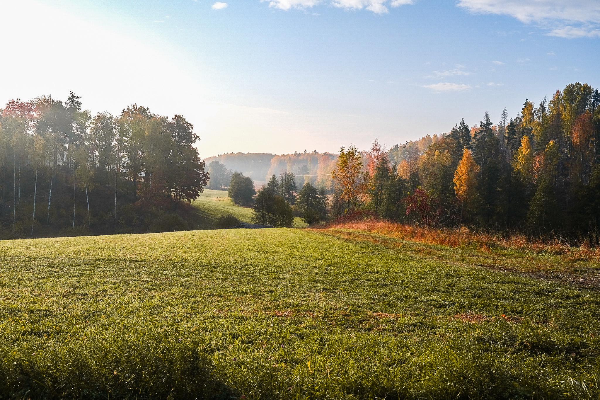 Mellösa landskap i sommar